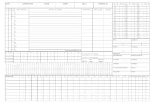 4+ Cricket Score Sheets Excel - Word Excel Fomats