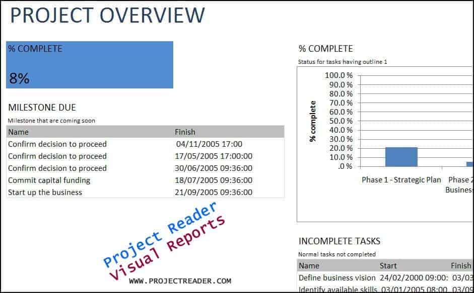 12 Sample Project Overview Templates Word Word Excel Fomats