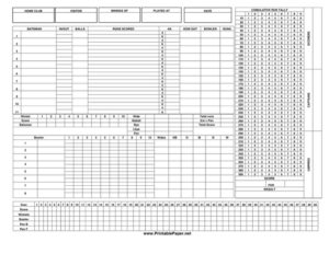 cricket score sheet excel format pdf