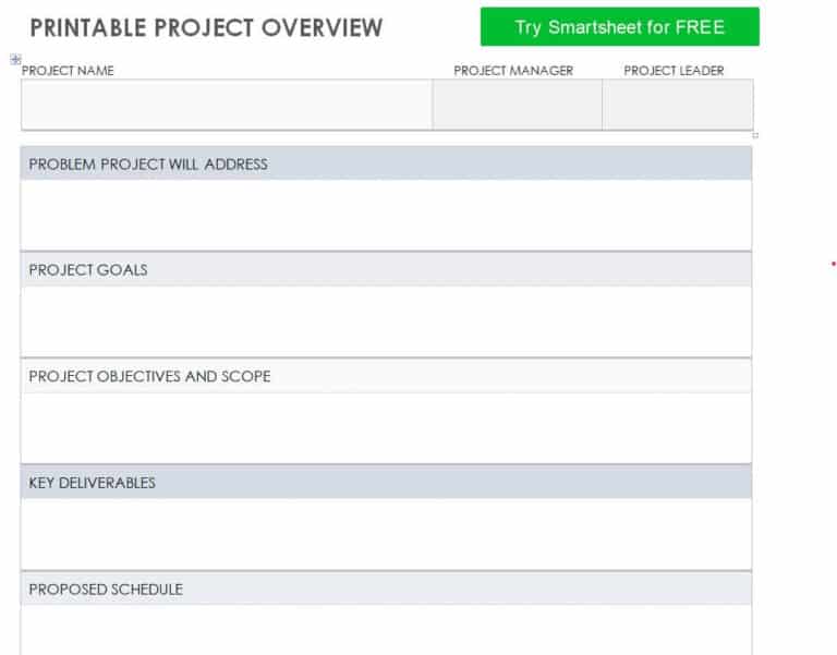 12+ Sample Project Overview Templates WORD Word Excel Fomats