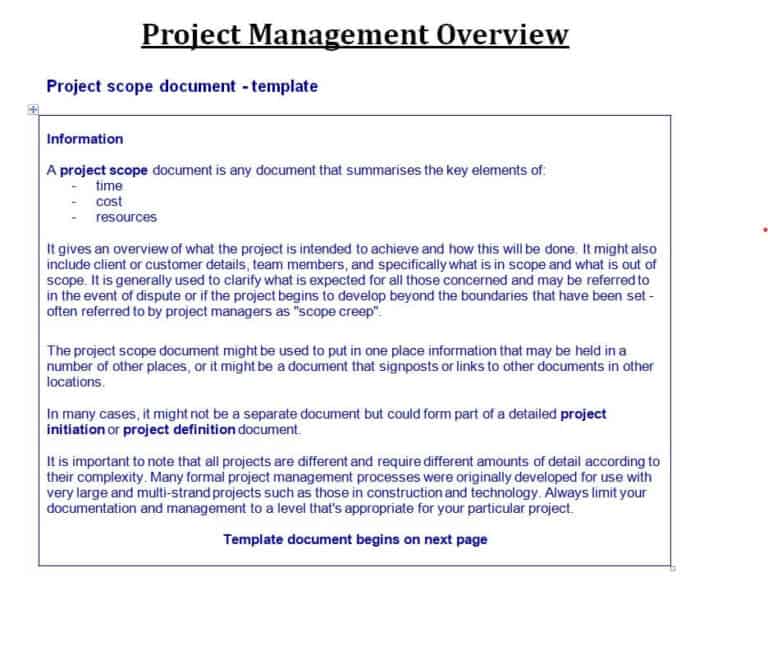 12 Sample Project Overview Templates Word Word Excel Fomats 0990