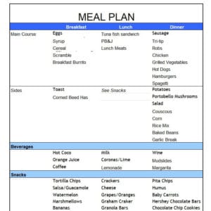 FREE 22+ Daily Use Meal Plan Templates [EXCEL, WORD & PDF] - Word Excel ...
